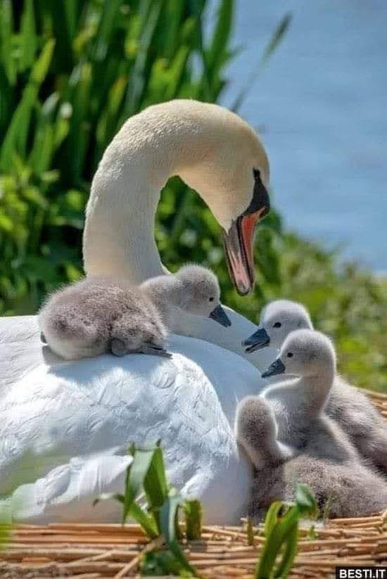 una foto che mi è piaciuta tanto