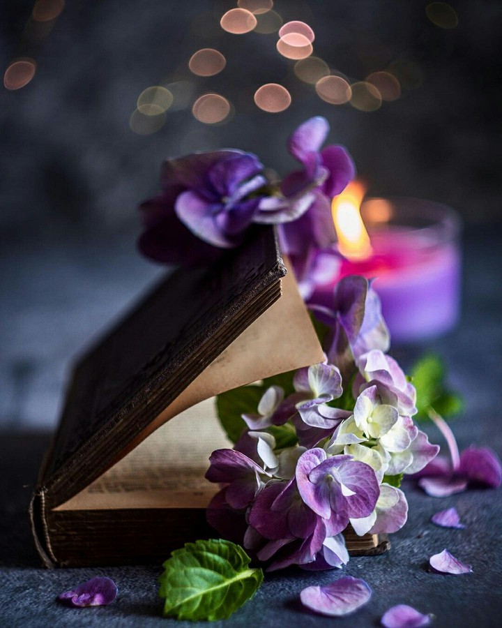 We Lose Ourselves in Books to Find Us There...