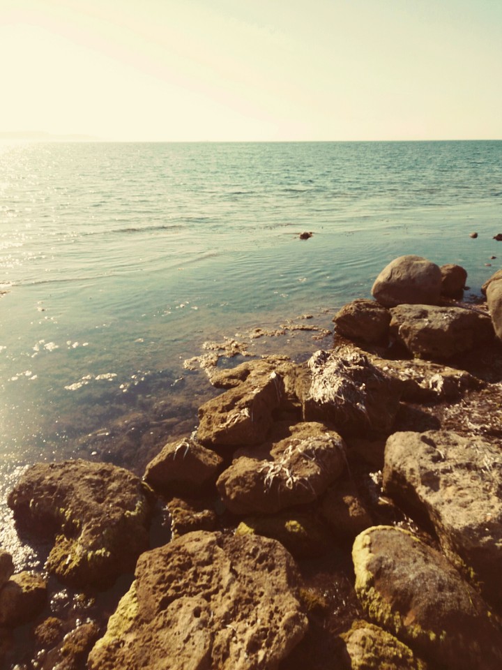 Miss You..