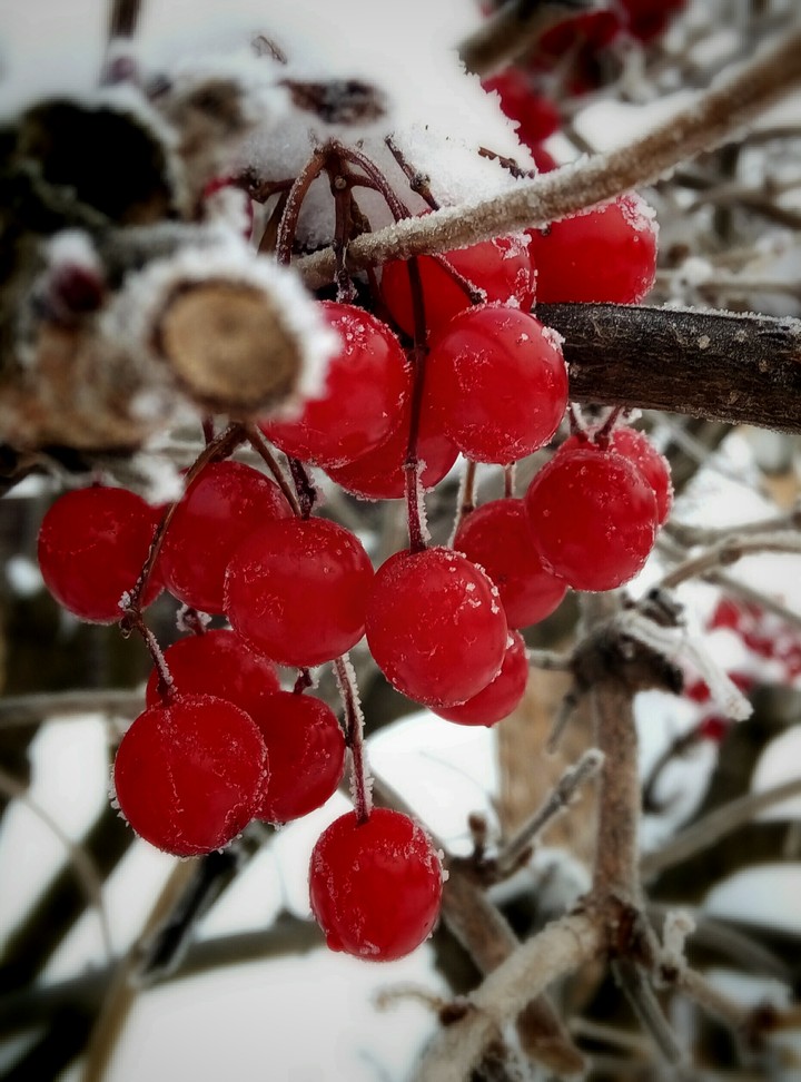 winter