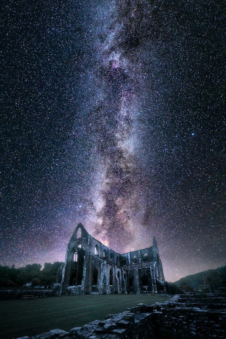 stars