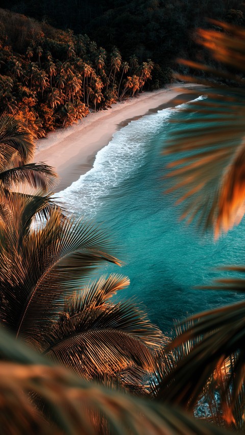 fondos de pantalla coast, beach