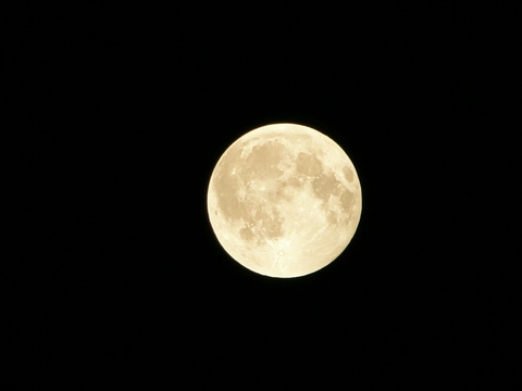 #moon
