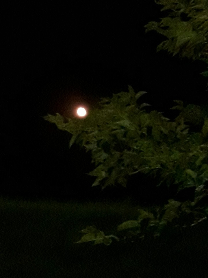 la lune