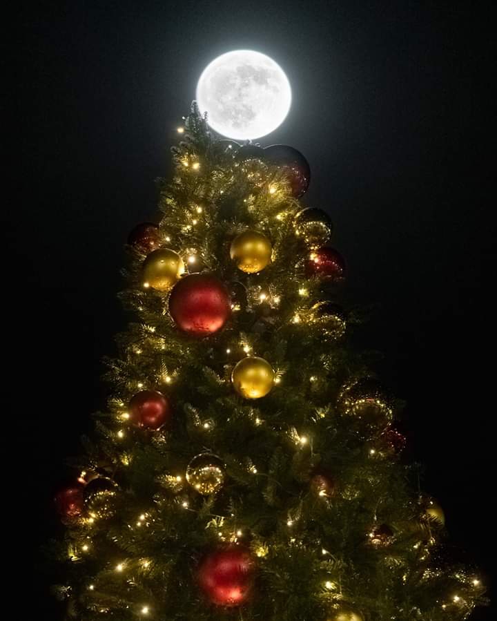 Merry Christmas❤