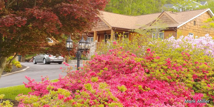 Spring in Asheville