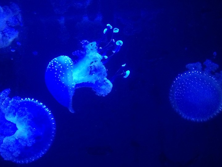 floating around