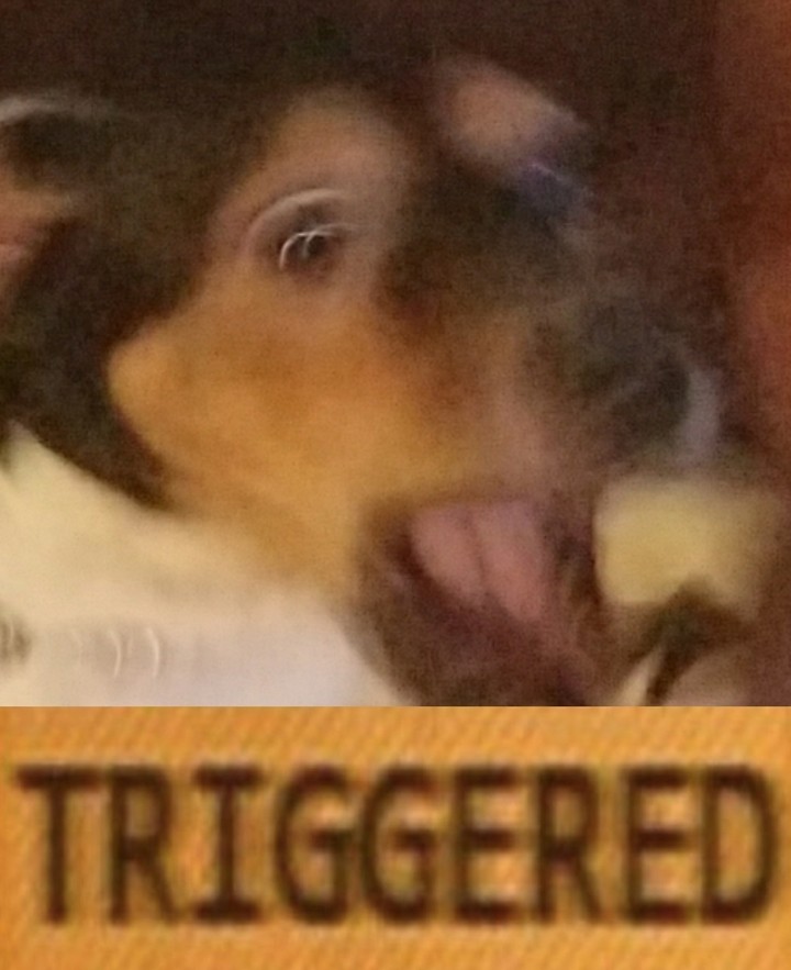 Triggered