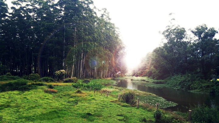 lanscape