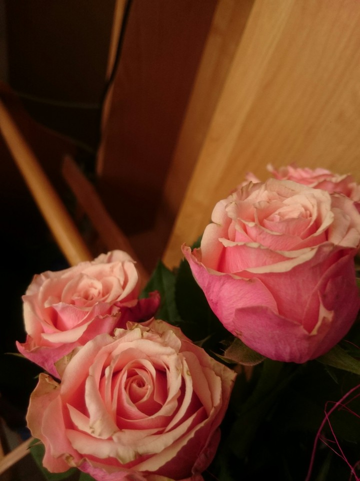 roses