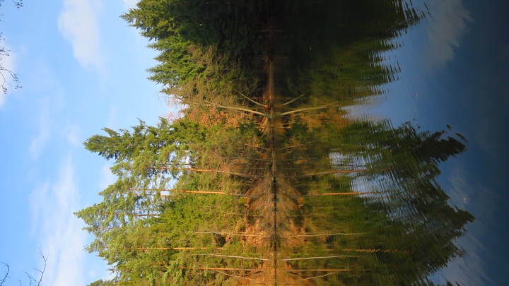 nature