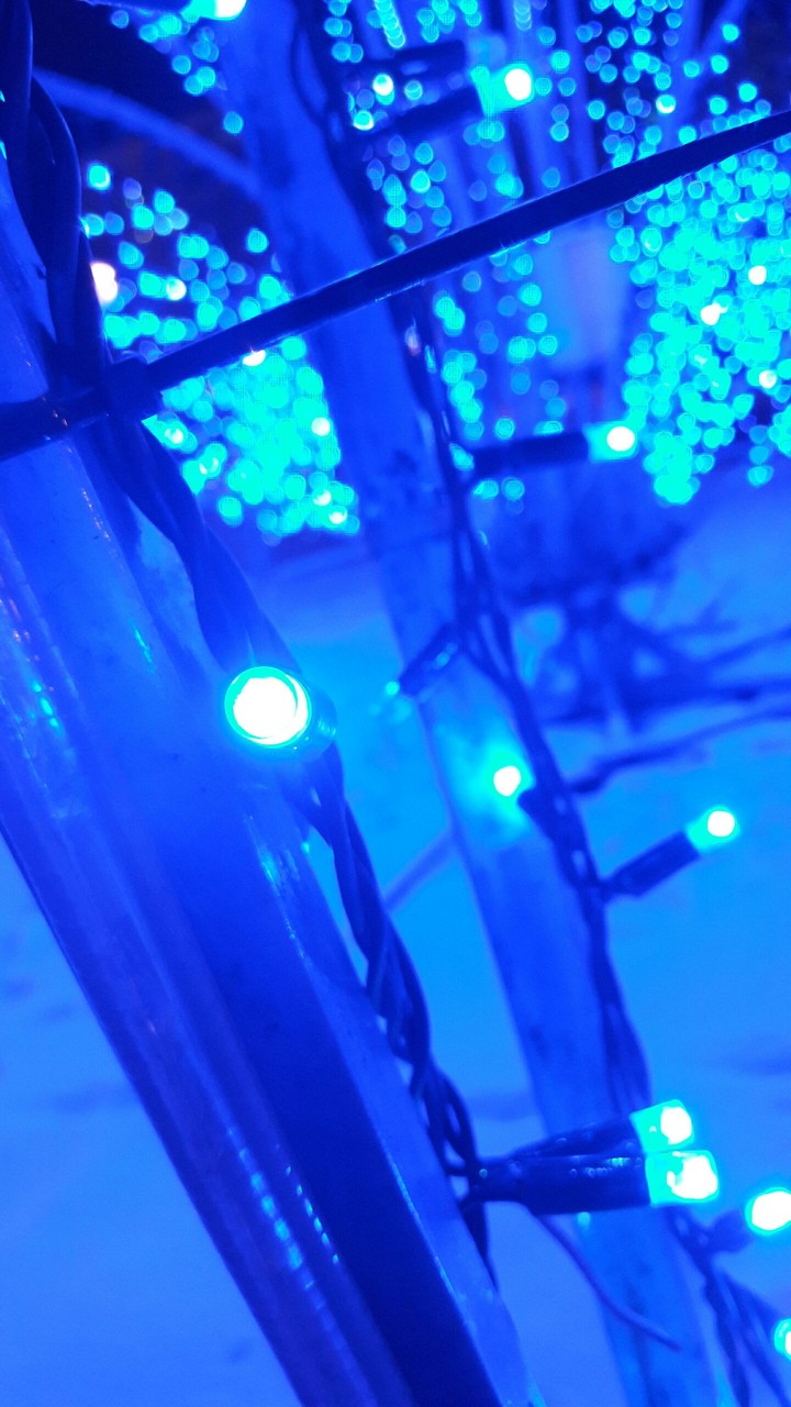 Blue Light