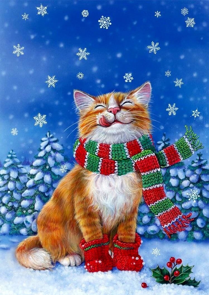 cat red