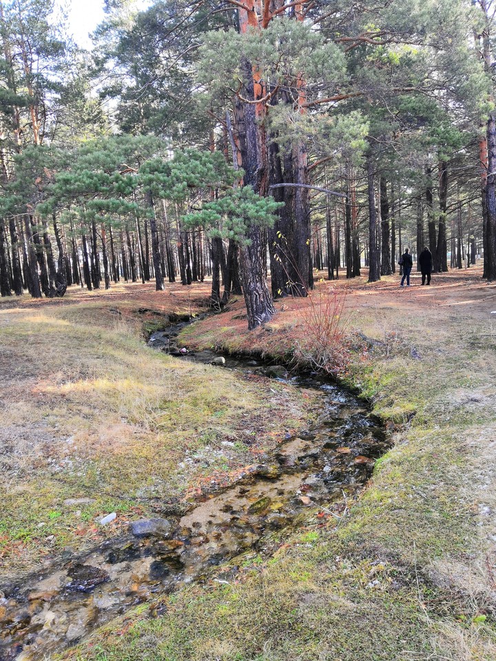 Баргузин