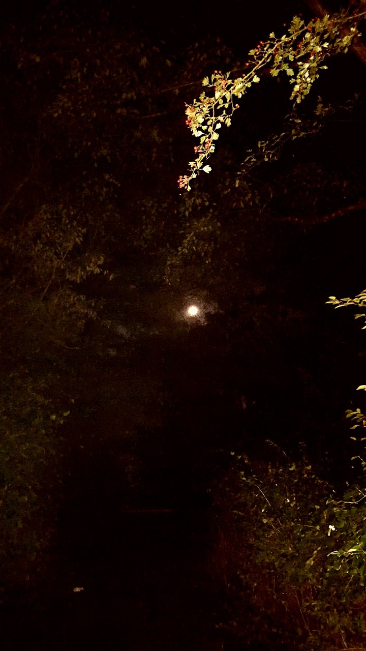 full moon