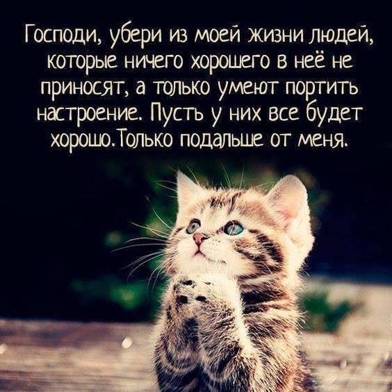 моё