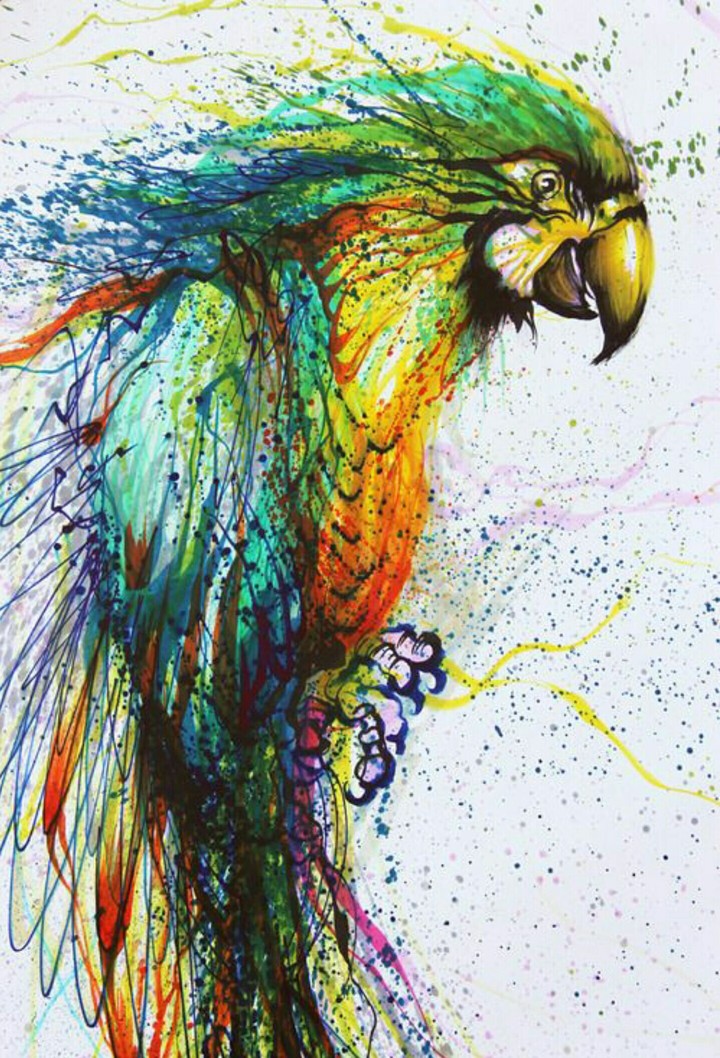 Parrot
