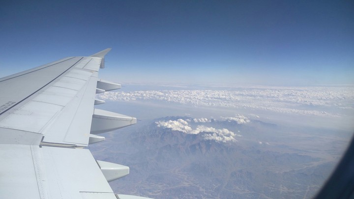 from d wings