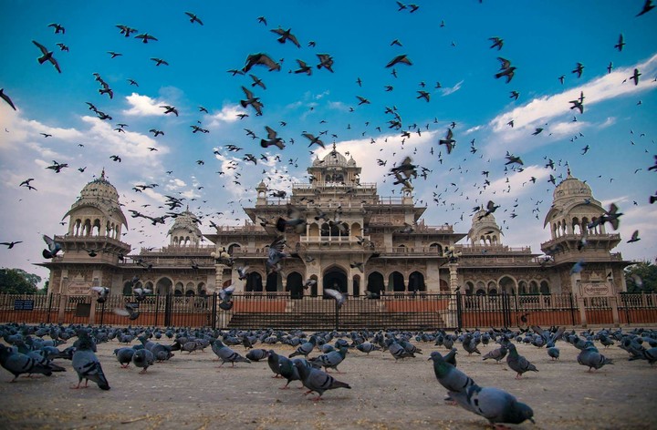 Albert Hall Jaipur