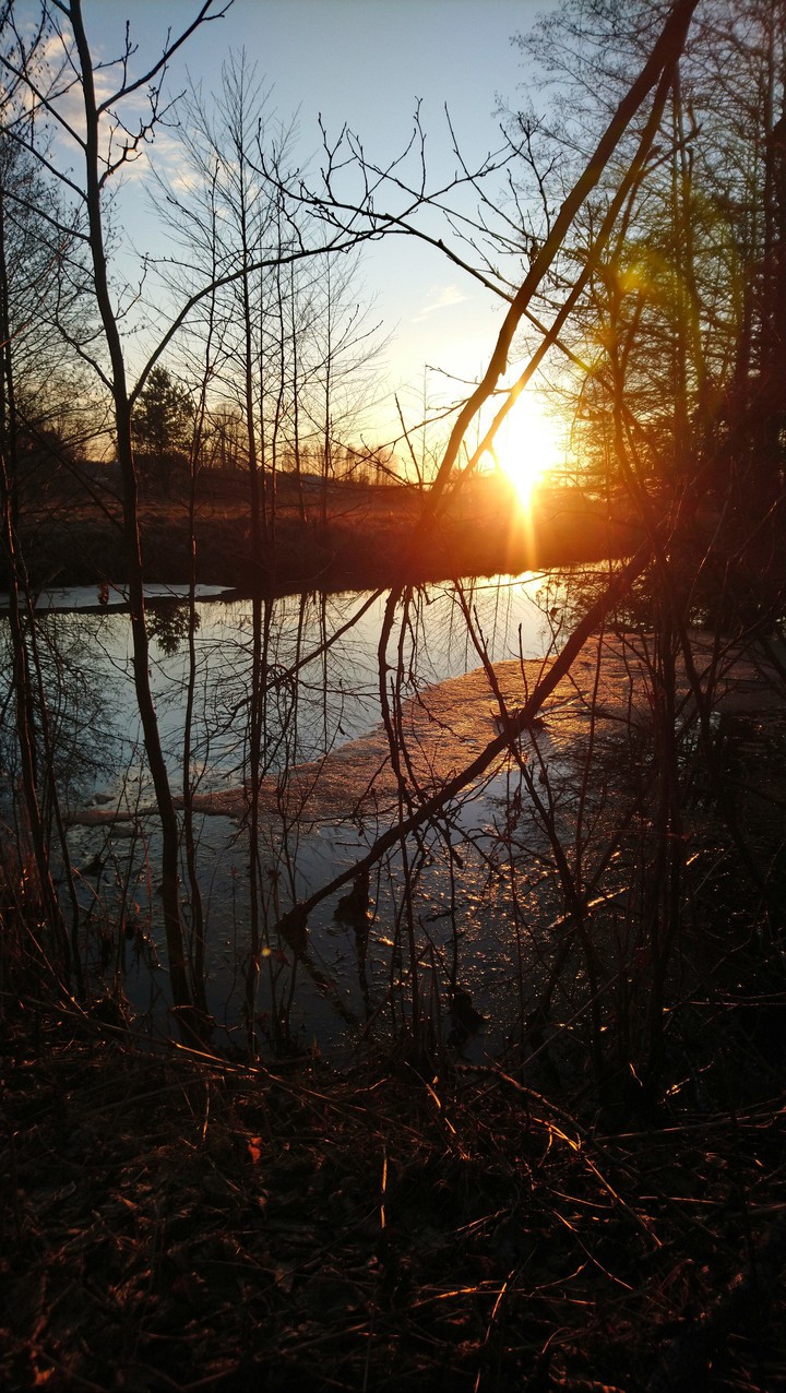 Sunset