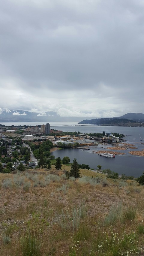 Kelowna View