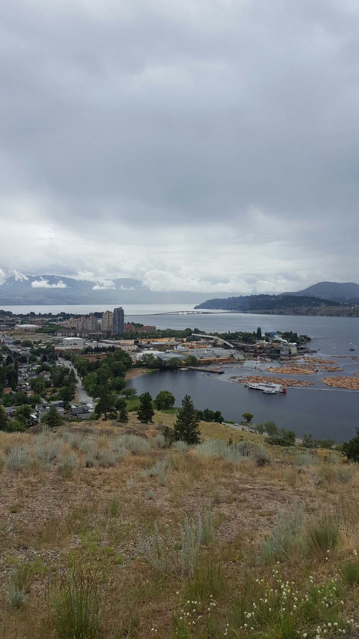 Kelowna View
