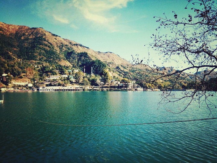 nature