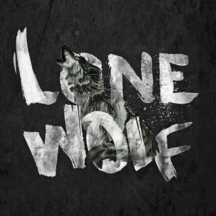 Lone wolf
