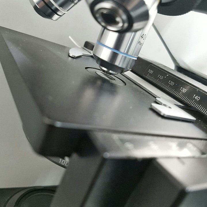 Microscope