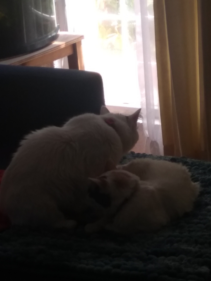 mom and son moment