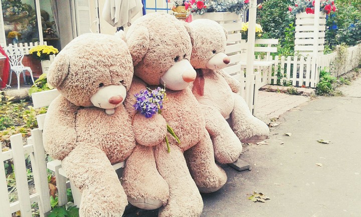 Bears))