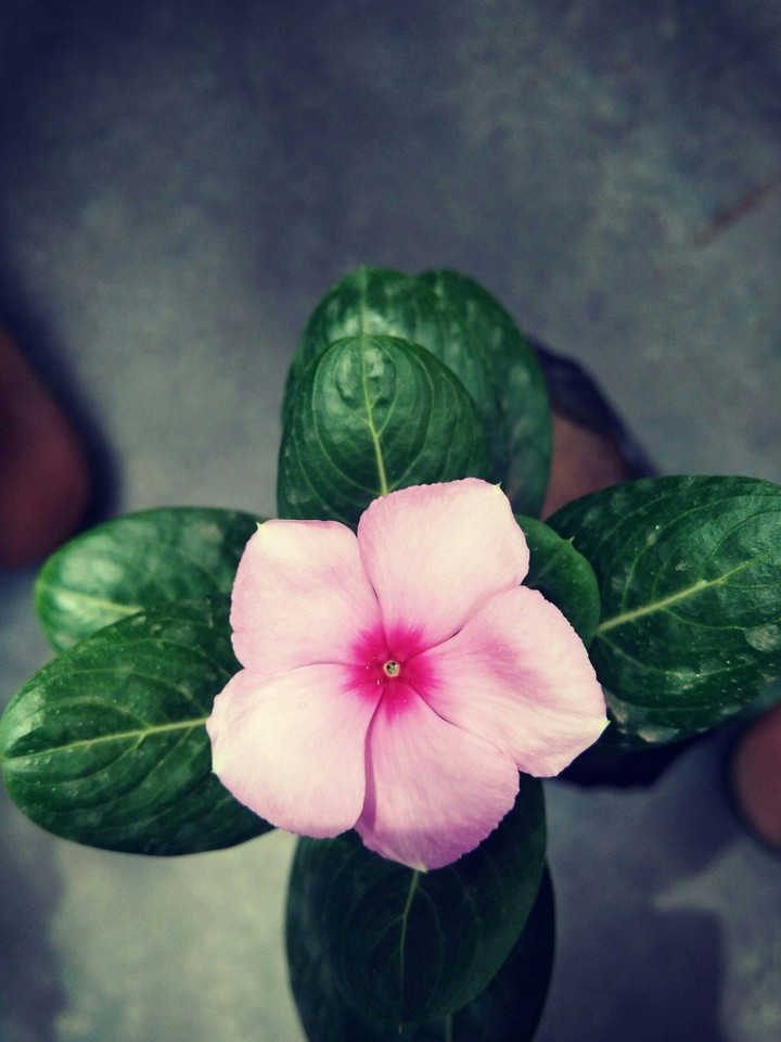 be happy