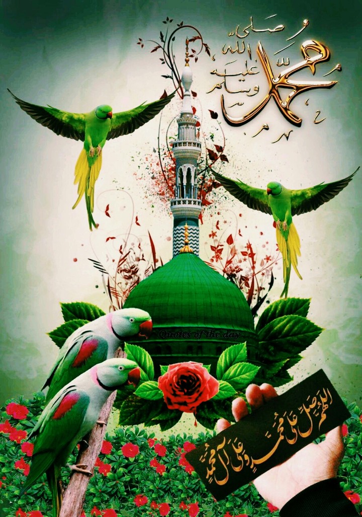 I Love Madina