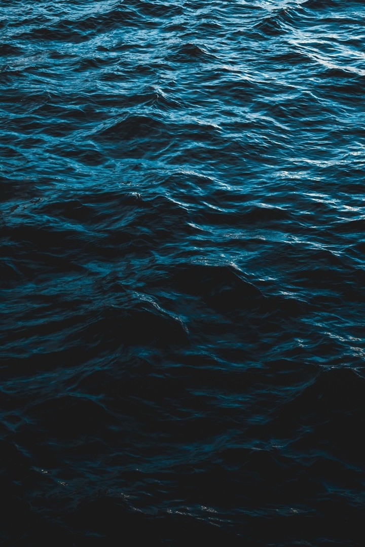 море