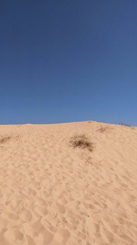 desert