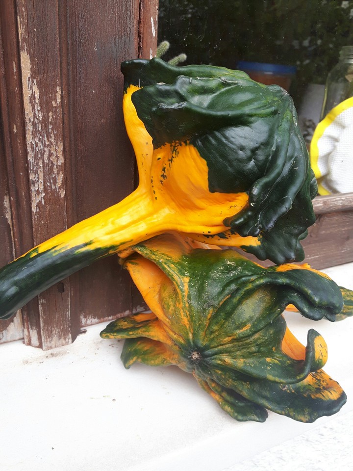 Pumpkim