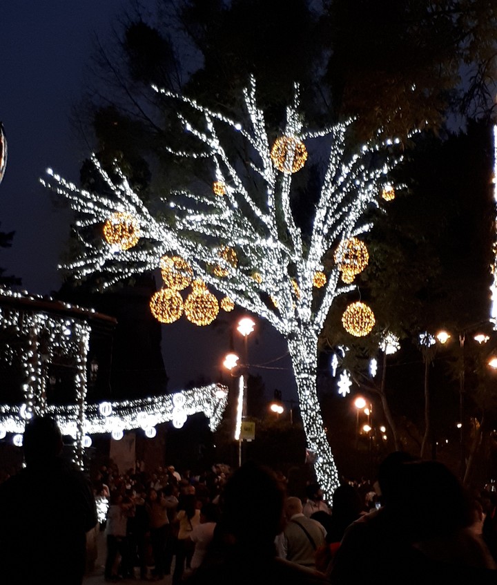 light tree
