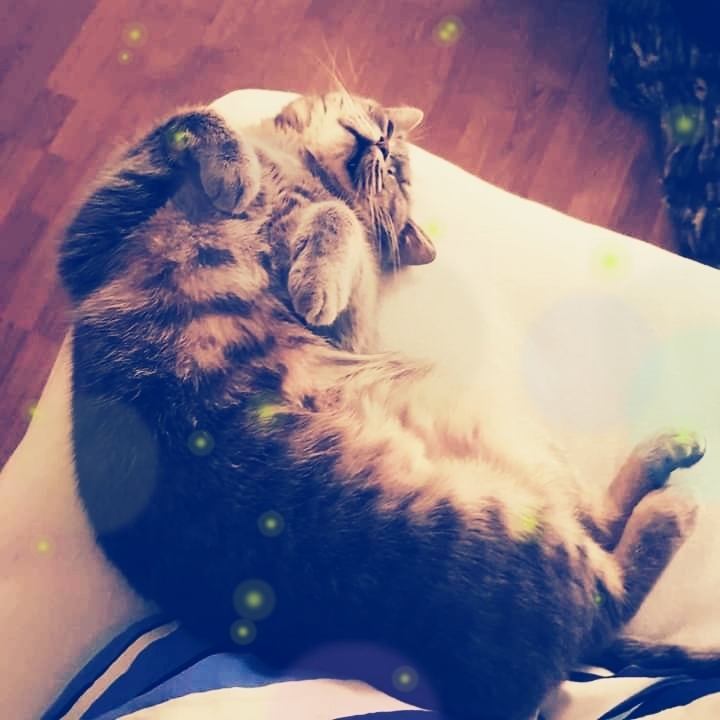Sleepy Sunday