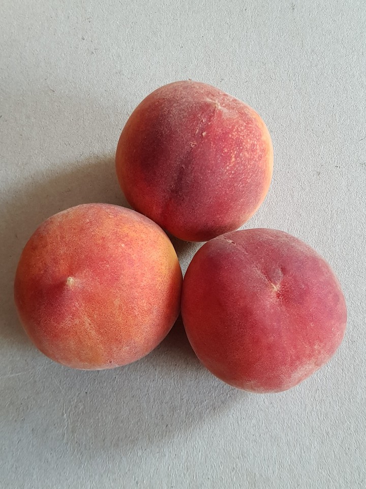peaches