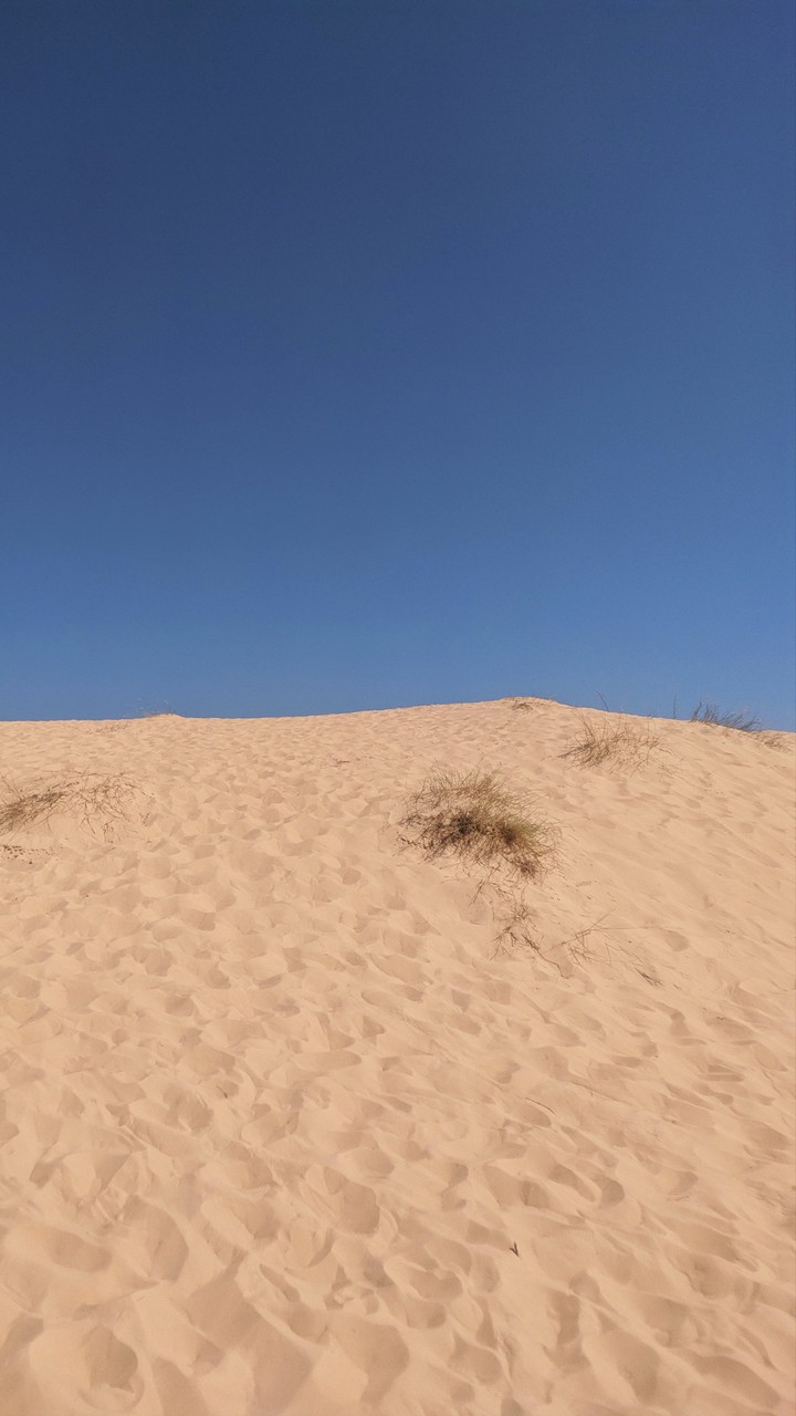 desert