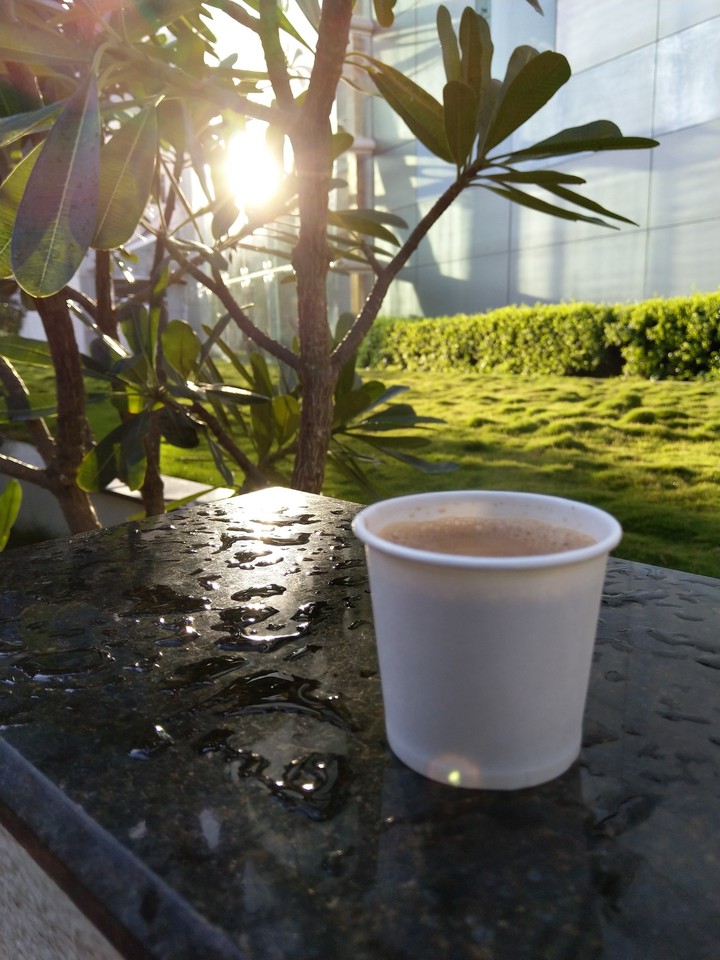 Sun and a good cup of Tea