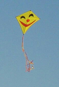 Happy makar sankranti ☺