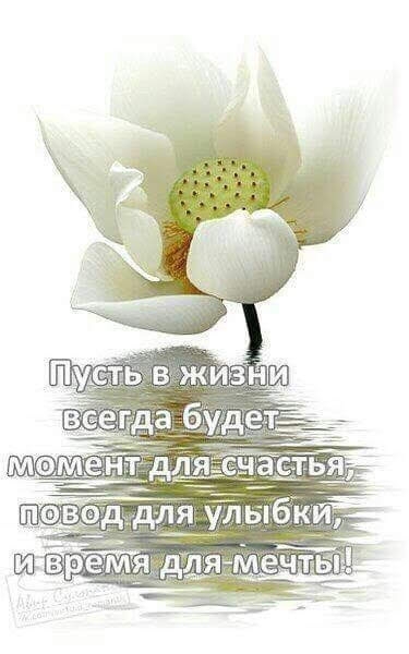 пожелание