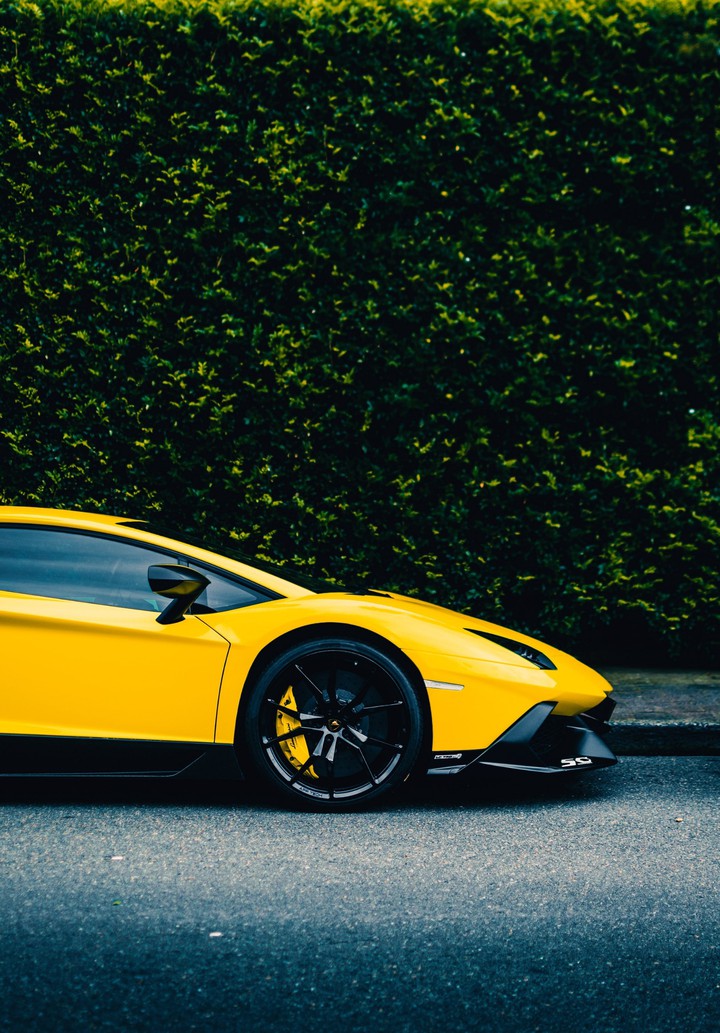 lambo
