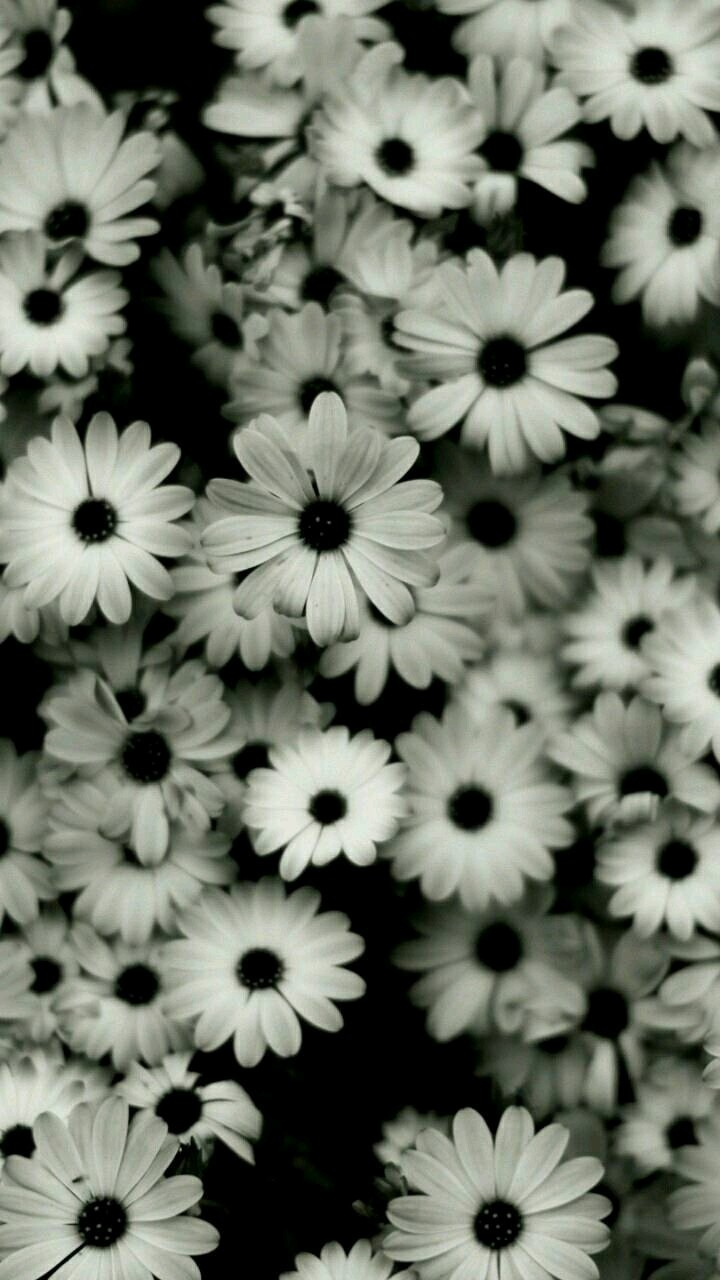 Flor