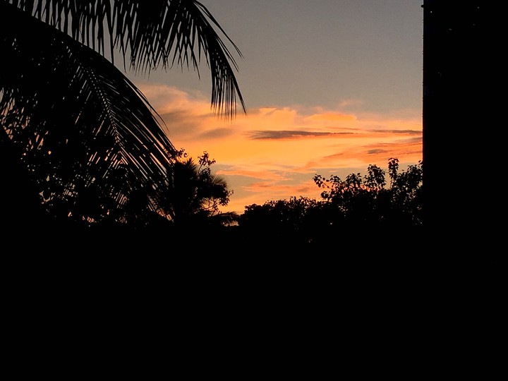 silhouette