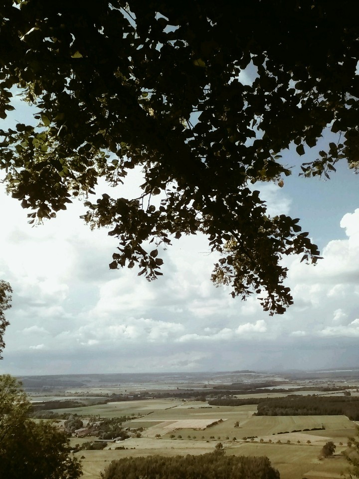 paysage