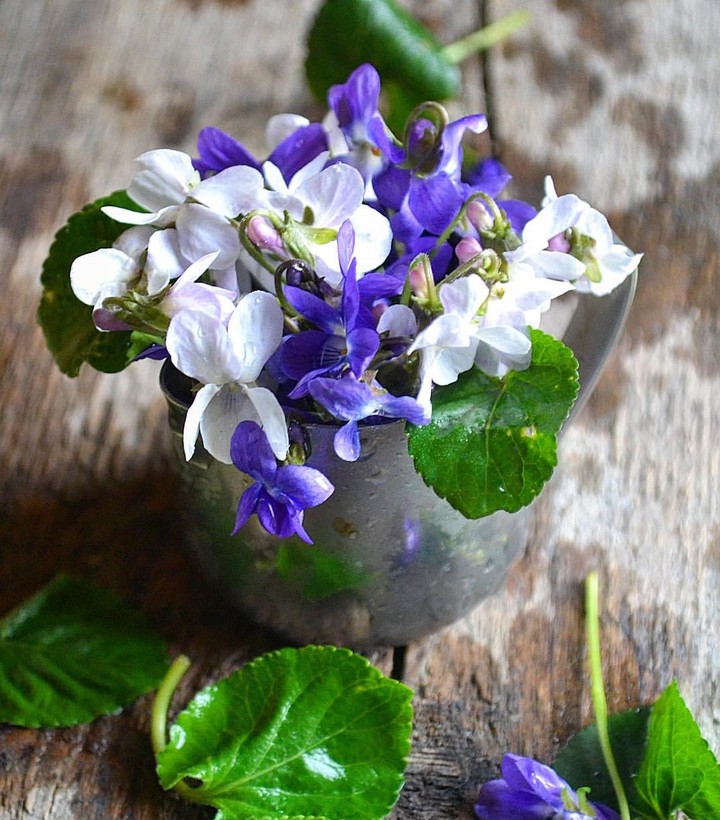Violet