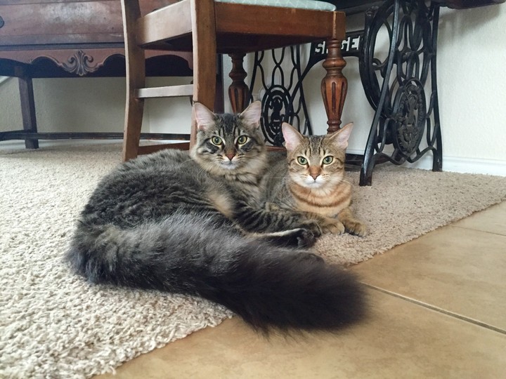Dusty and Skipper