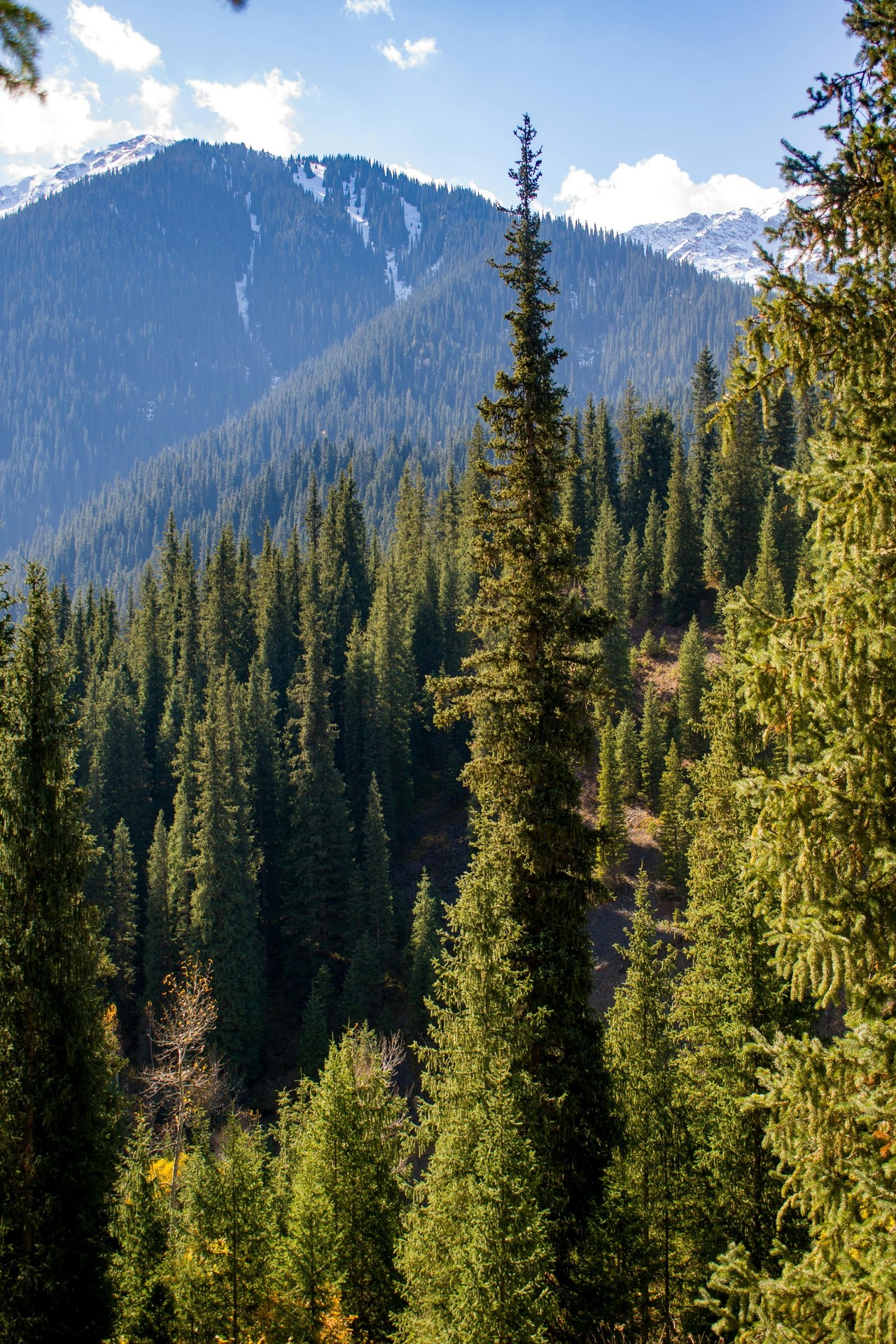 mountain, Wilderness Hintergrundbilder